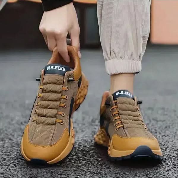 BEXLEY HERITAGE Trainer